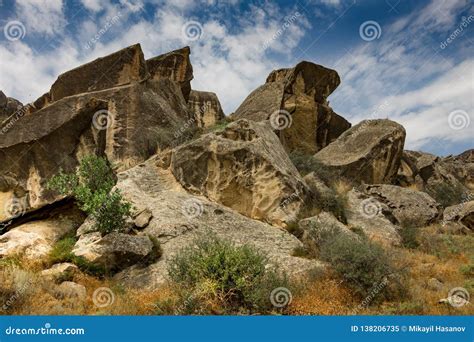 Habitat/Ancient .